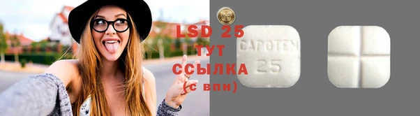 ГАЛЛЮЦИНОГЕННЫЕ ГРИБЫ Нея
