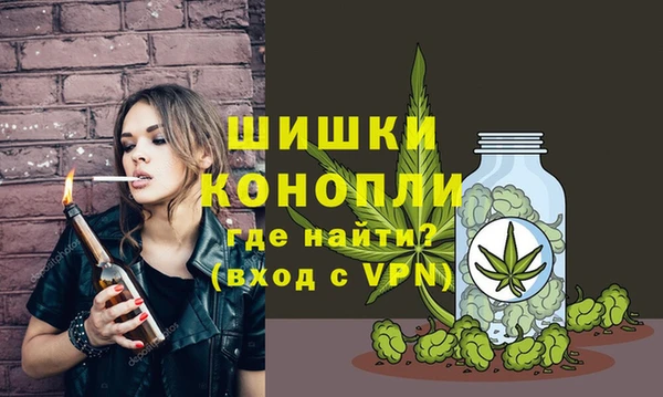 хмурый Нефтекумск