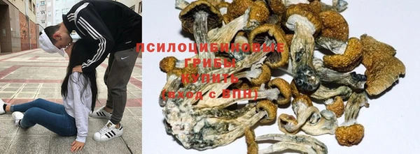 ГАЛЛЮЦИНОГЕННЫЕ ГРИБЫ Нея