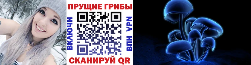 Псилоцибиновые грибы Psilocybine cubensis  mega зеркало  Чегем 